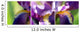 Collage Lily Purple Wall Mural