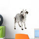 Rove Goat Kid Wall Decal