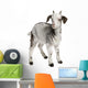 Rove Goat Kid Wall Decal