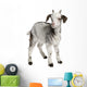 Rove Goat Kid Wall Decal
