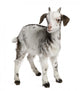 Rove Goat Kid Wall Decal