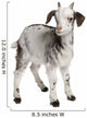 Rove Goat Kid Wall Decal
