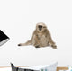 Young Pileated Gibbon 4 Wall Decal