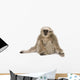 Young Pileated Gibbon 4 Wall Decal