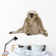 Young Pileated Gibbon 4 Wall Decal