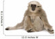 Young Pileated Gibbon 4 Wall Decal