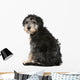 Rear Crossbreed Looking Camera Wall Decal