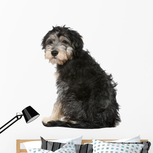 Rear Crossbreed Looking Camera Wall Decal