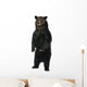 Female Brown Bear 12 Wall Decal