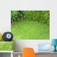 Natural Green Grass behind Wall Decal