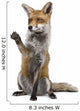 Red Fox Wall Decal