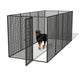 Dog Kennel Wall Decal