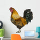 Gallic Rooster 5 Years Old Wall Decal