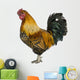 Gallic Rooster 5 Years Old Wall Decal