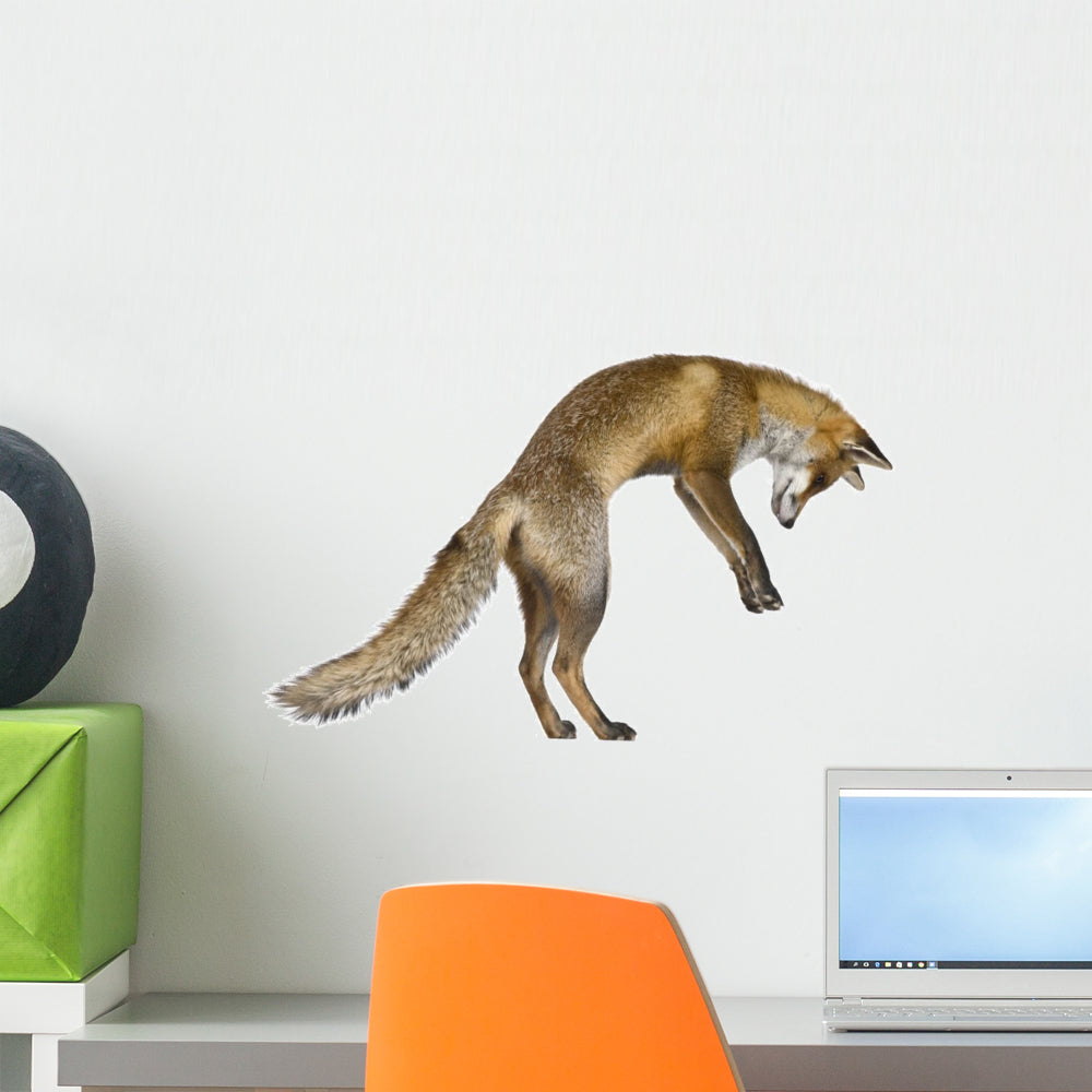 Pouncing Red Fox Wall Decal – Wallmonkeys