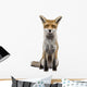 Front Red Fox 1 Wall Decal