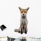 Front Red Fox 1 Wall Decal