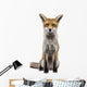 Front Red Fox 1 Wall Decal