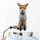 Front Red Fox 1 Wall Decal