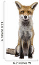 Front Red Fox 1 Wall Decal