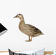 Female Mallard Wall Decal