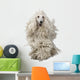 White Corded Poodle Wall Decal