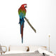 Red-And-Green Macaw Perching on Branch I Wall Decal