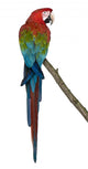 Red-And-Green Macaw Perching on Branch I Wall Decal