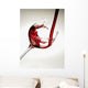 Red wine pouring into a glass Wall Mural