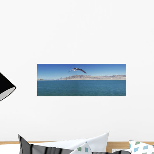 Seagull over pyramid lake;Nevada united states of america Wall Mural
