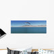 Seagull over pyramid lake;Nevada united states of america Wall Mural