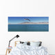 Seagull over pyramid lake;Nevada united states of america Wall Mural