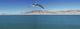 Seagull over pyramid lake;Nevada united states of america Wall Mural