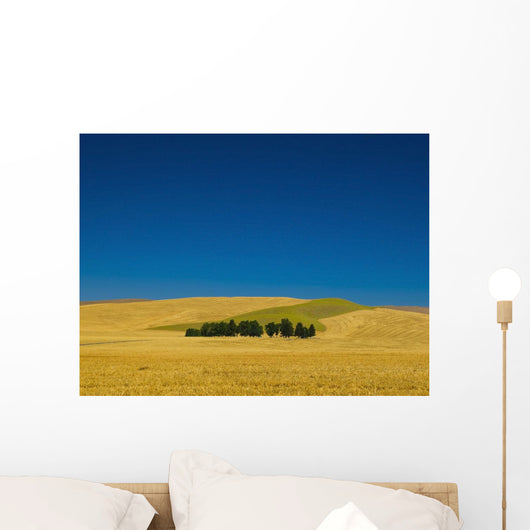 Cemetery with trees Wall Mural