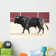 Fighting bull Wall Mural