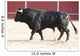 Fighting bull Wall Mural