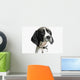 Portrait of a dog Wall Mural