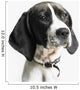 Portrait of a dog Wall Mural