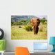 Walking Elephant Wall Mural