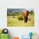 Walking Elephant Wall Mural