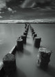 Wooden Posts Leading out Wall Decal