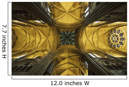 Looking up Cathedral Ceiling Wall Decal