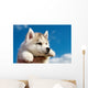 Siberian Husky Dog Puppy Wall Mural