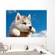 Siberian Husky Dog Puppy Wall Mural