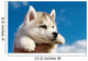 Siberian Husky Dog Puppy Wall Mural