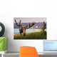 Bull Moose Standing Wall Mural