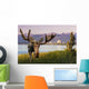 Bull Moose Standing Wall Mural