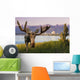 Bull Moose Standing Wall Mural