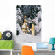 Polar Bear Cub Standing On Hind Legs Looking @ Star On Christmas Tree Wall Mural