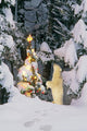 Polar Bear Cub Standing On Hind Legs Looking @ Star On Christmas Tree Wall Mural